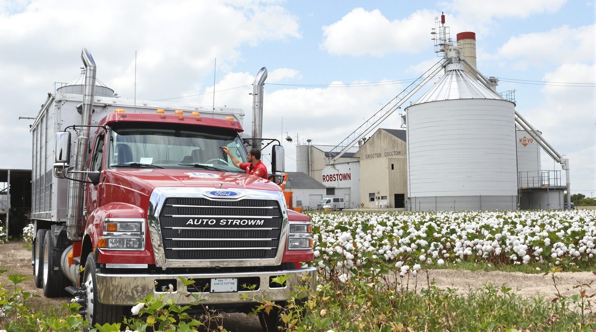 Auto glass technician repairing windshield on agricultural grain truck near cotton gin elevator in Robstown Texas cotton fields in foreground